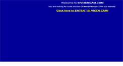 Desktop Screenshot of bivixencam.com